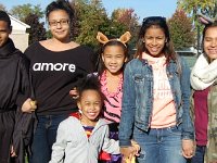 DSC 0015- web